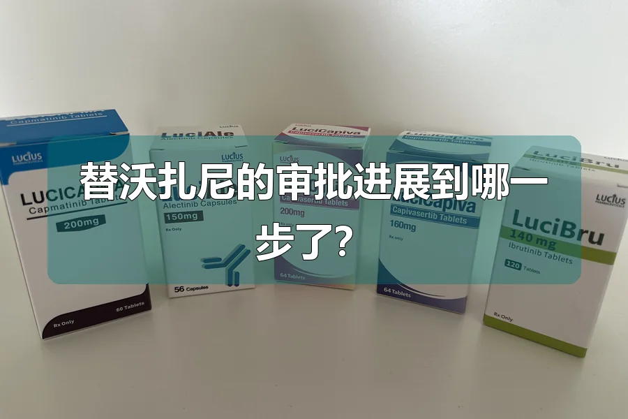 替沃扎尼的审批进展到哪一步了?